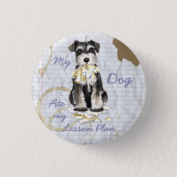 My Miniature Schnauzer Ate My Lesson Plan Pinback Button
