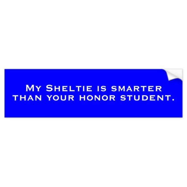 My Sheltie is smarter, than your honor student. Bumper Sticker