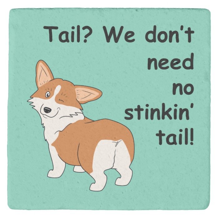 No Stinkin' Tail Corgi Stone Coaster