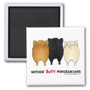 Nothin' Butt Pomeranians Magnet