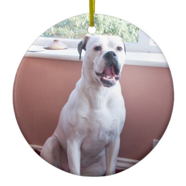 Ornament: White Boxer Dog Ceramic Ornament