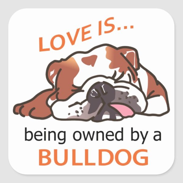 Owned by a Bulldog Square Sticker