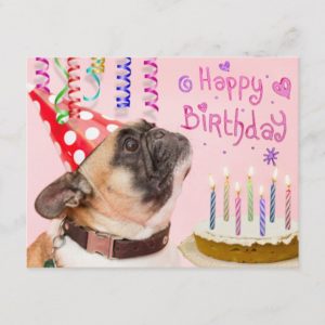 Party Pug and Birthday Cake Invitation Postcard