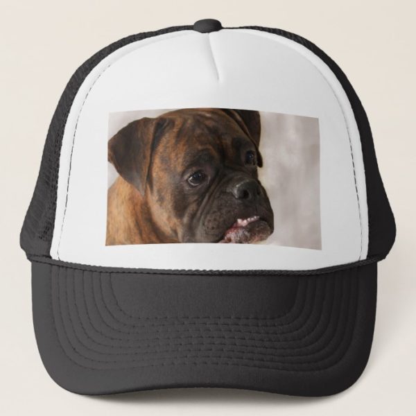 Patriotic Boxer Dog cap