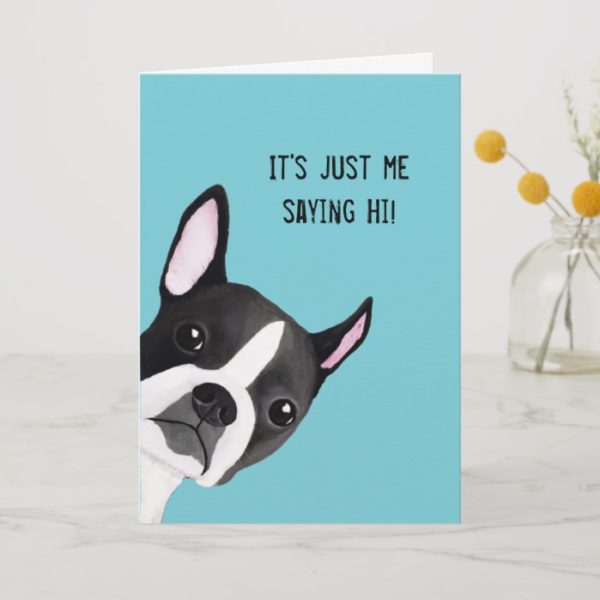 Peeking Boston Terrier Illustrated Greeting Card