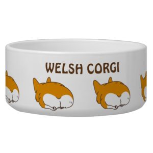 pembroke welsh corgi bowl