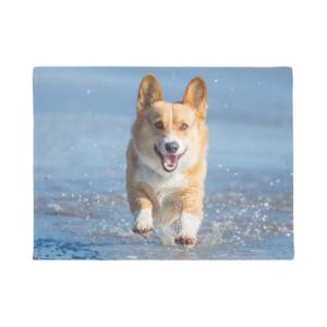 Pembroke Welsh Corgi Dog Running On The Beach Doormat