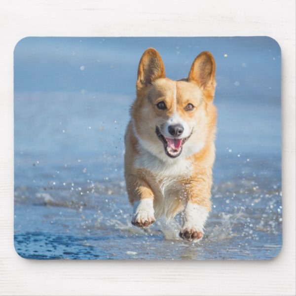Pembroke Welsh Corgi Dog Running On The Beach Mouse Pad
