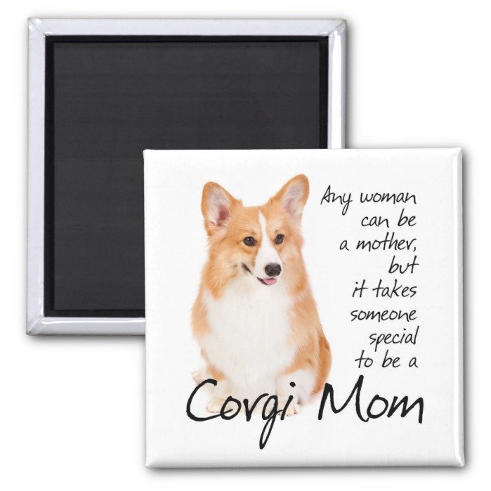 Pembroke Welsh Corgi Mom Magnet