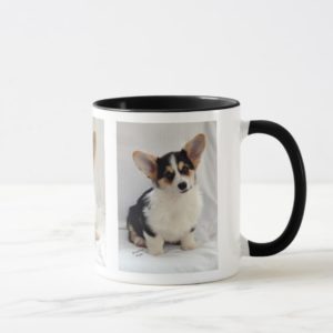Pembroke Welsh Corgi Tri-Color Puppy On Your Mug