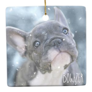 Personalized Best Dog or Puppy Picture Name Photo Ceramic Ornament
