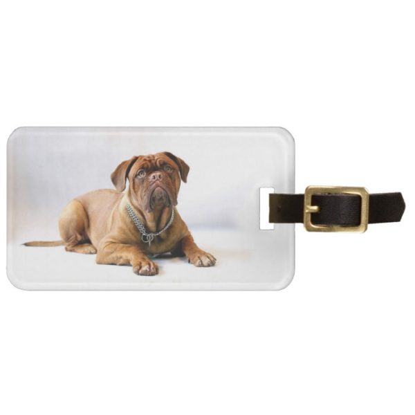 Personalized Mastiff / Dog Photo Luggage Tag