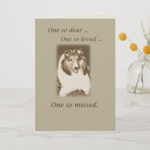 Pet Loss, Sheltie Dog Sympathy, Shetland Sheepdog Card