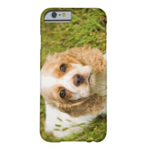 Phone Cases - Cocker Spaniel Puppy