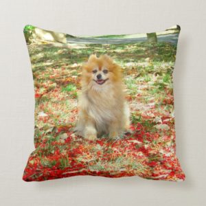 Pillow | Smiling Pomeranian Red Flowers