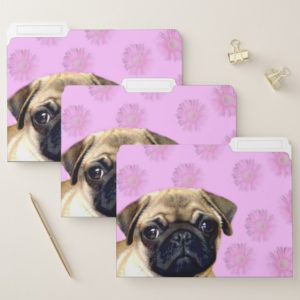 Pink pug dog set of file folders