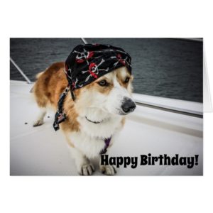 Pirate Corgi Birthday Card