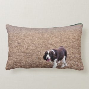 Playful Springer Spaniel Lumbar Pillow