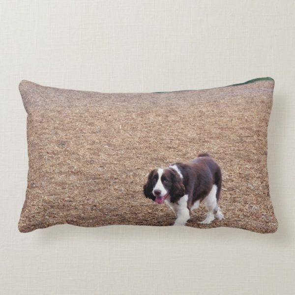 Playful Springer Spaniel Lumbar Pillow