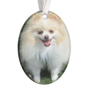 Pomeranian Acrylic Ornament