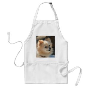 Pomeranian apron