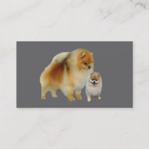 Pomeranian Breeder Business Card
