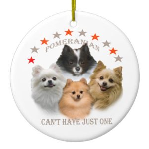 Pomeranian Can't Have Just One ornament