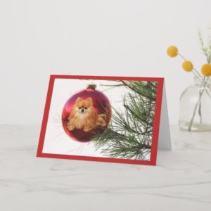 Pomeranian  Christmas Card Red Ball