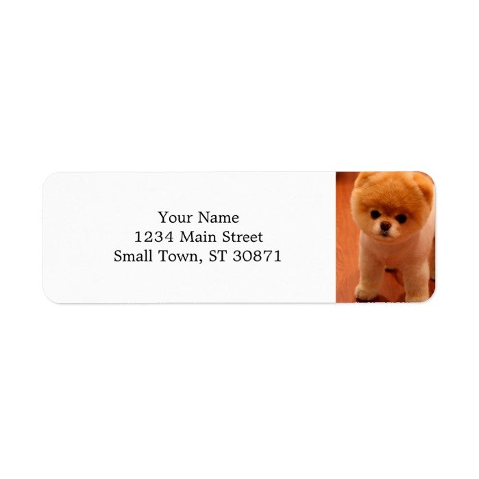 Pomeranian-cute puppies-spitz-pom dog-pom puppies label