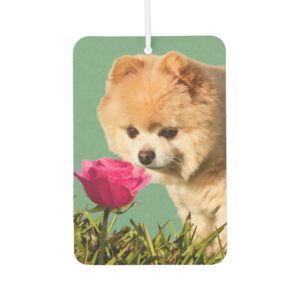 Pomeranian Dog and Rose Car Air Freshener