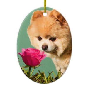 Pomeranian Dog and Rose Ornament