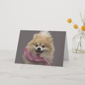 Pomeranian Dog Birthday Card by Focus for a Cause