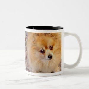 Pomeranian Dog Coffee Mug