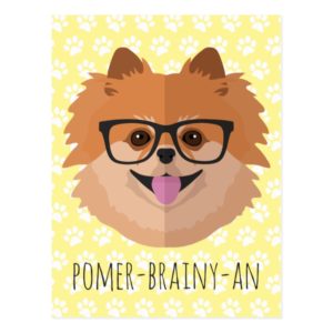 Pomeranian Dog In Nerd Glasses | POMER-BRAINY-AN Postcard