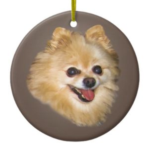 Pomeranian Dog on Brown Ornament