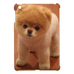 Pomeranian Dog Pet Puppy Small Adorable baby iPad Mini Cover