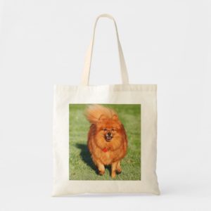 Pomeranian dog tote bag, gift idea