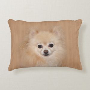 Pomeranian face decorative pillow