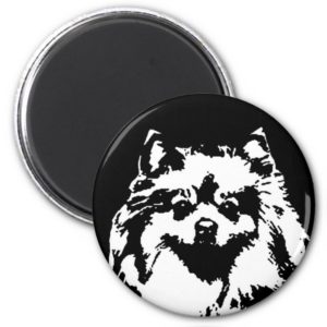 Pomeranian Gifts - Magnet