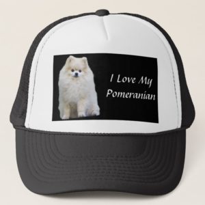 Pomeranian Hat