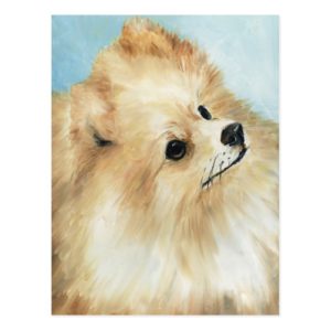 "Pomeranian Head Study Dog Art Postcard