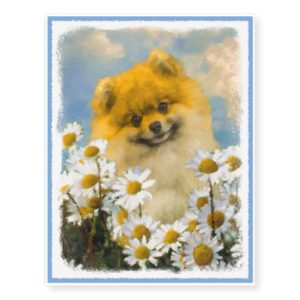 Pomeranian in Daisies Painting - Original Dog Art Temporary Tattoos