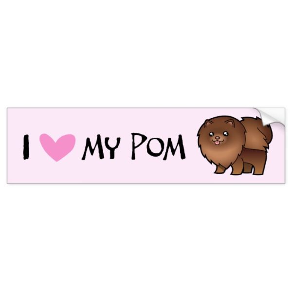 Pomeranian Love (chocolate) Bumper Sticker