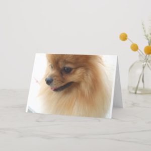 Pomeranian Lover Card