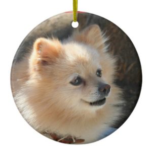 Pomeranian ornament