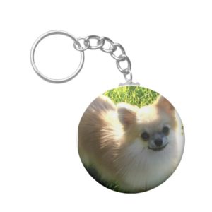 Pomeranian Puppies Keychain