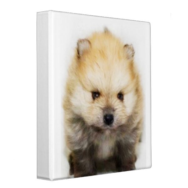 Pomeranian puppy binder