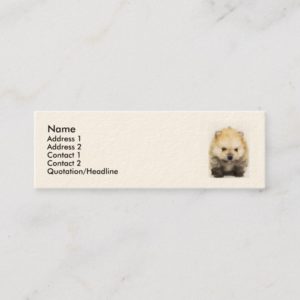 Pomeranian puppy mini business card