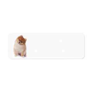 Pomeranian Return Address Label