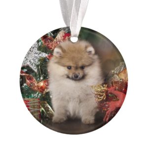 Pomeranian Spitz, Christmas Puppy Ornament